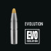 Пули .323 / 8 mm RWS EVO 200 gr / BC G1 0.35 / 50 шт